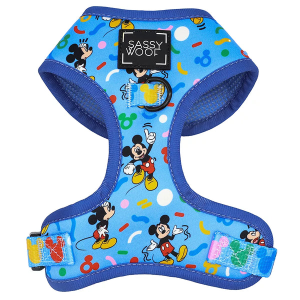 Dog Harness