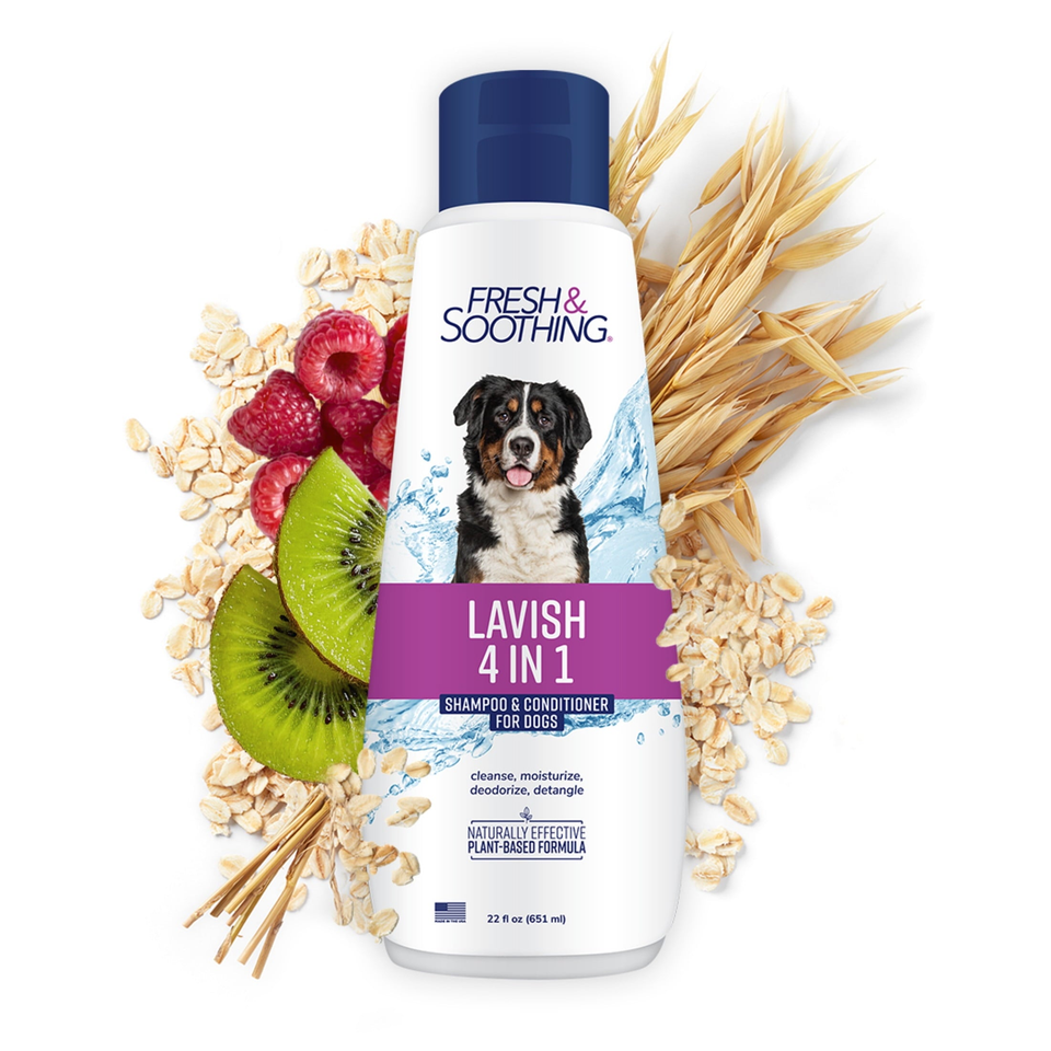 All Pet Products