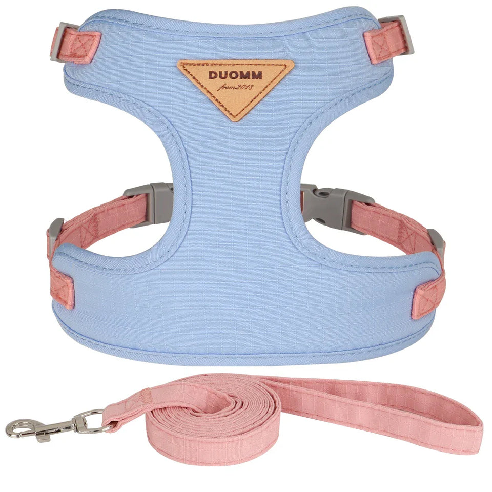 Pet Leashes & Harnesses
