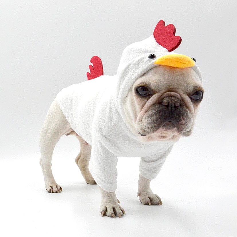 The Pet Halloween Collection