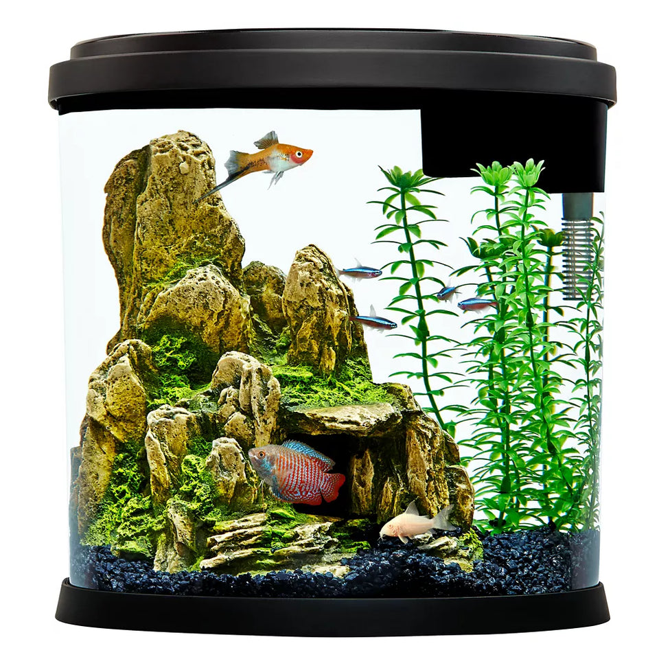 Aquarium Supplies & Decor
