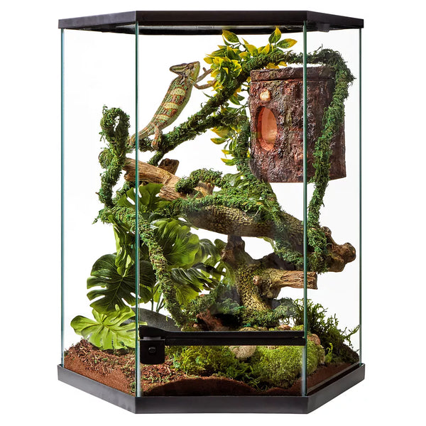 Reptile Habitat Accessories
