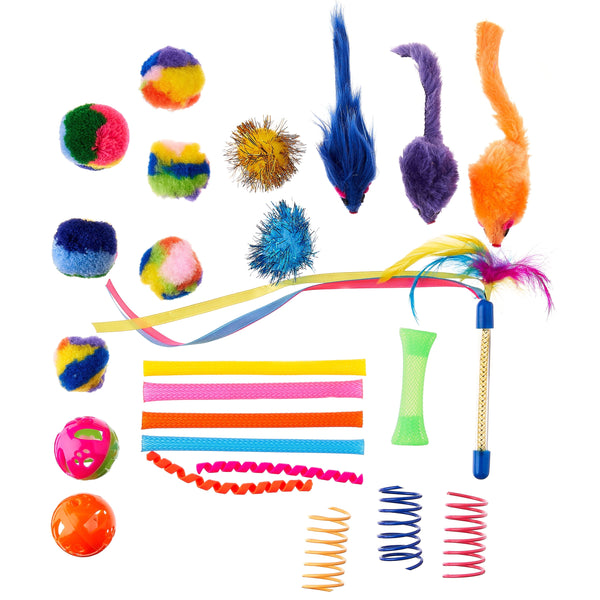 Accessories and care for cats