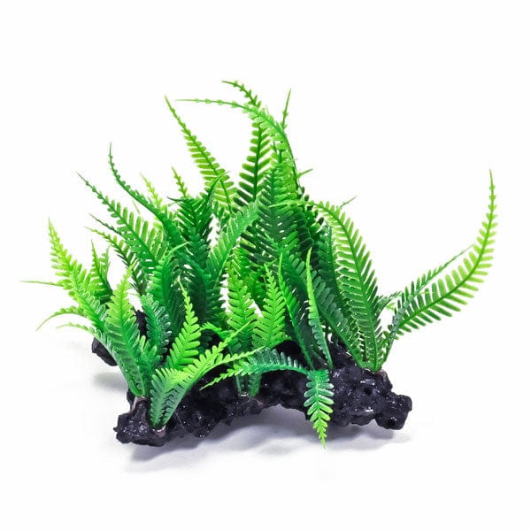 Aquarium Accessories