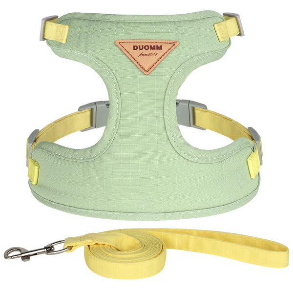 Leashes and harnesses for dogs and cats