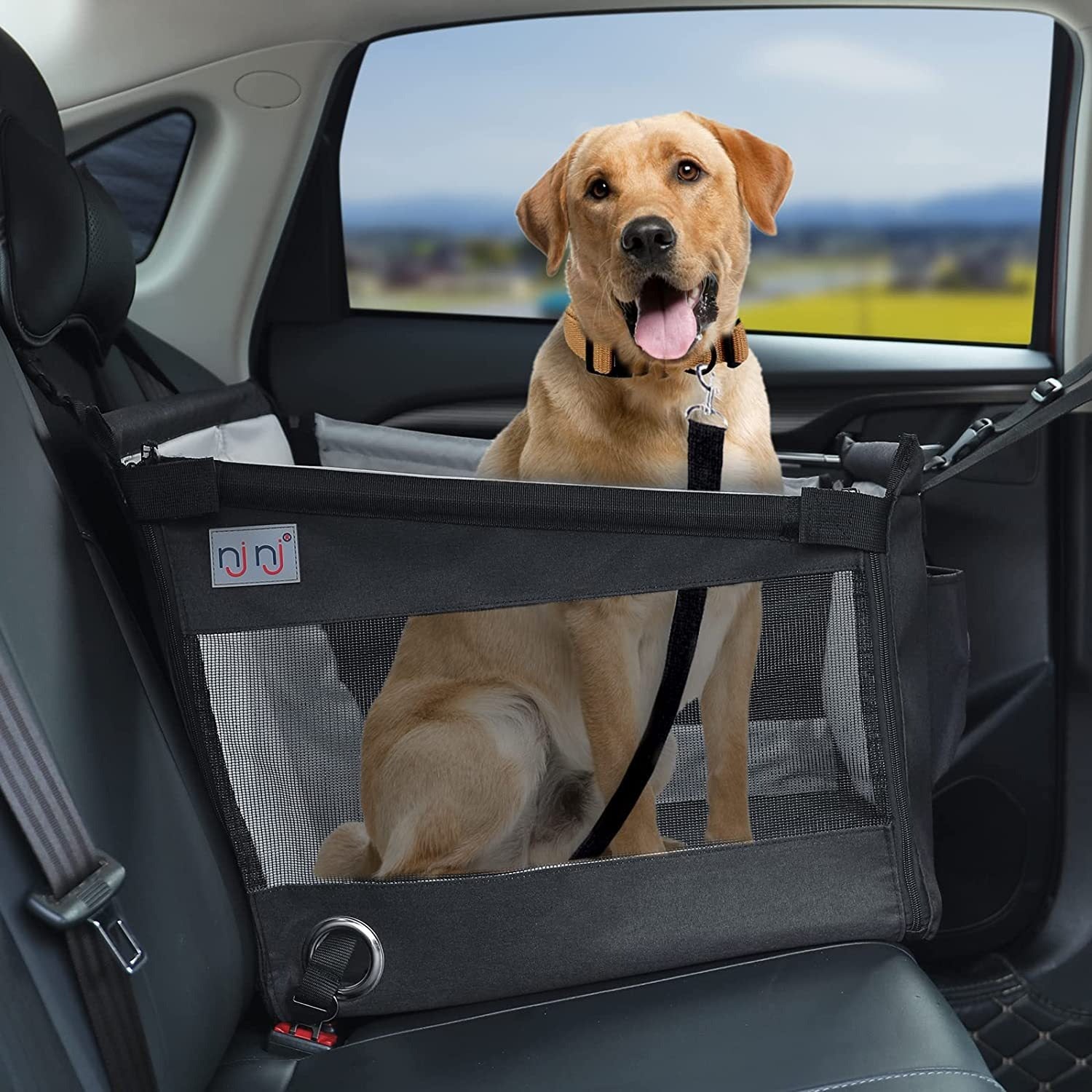 Removable Dog Travel Pad