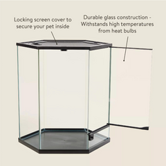 20 Gallon Thrive Hexagon Terrarium – Ideal for Reptiles & Tree Dwellers