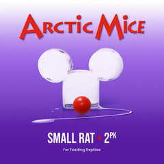 Arctic Mice Frozen Small Rats