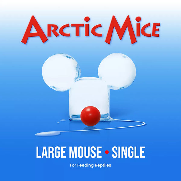 Arctic Mice Frozen Large Mice