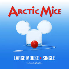 Arctic Mice Frozen Large Mice