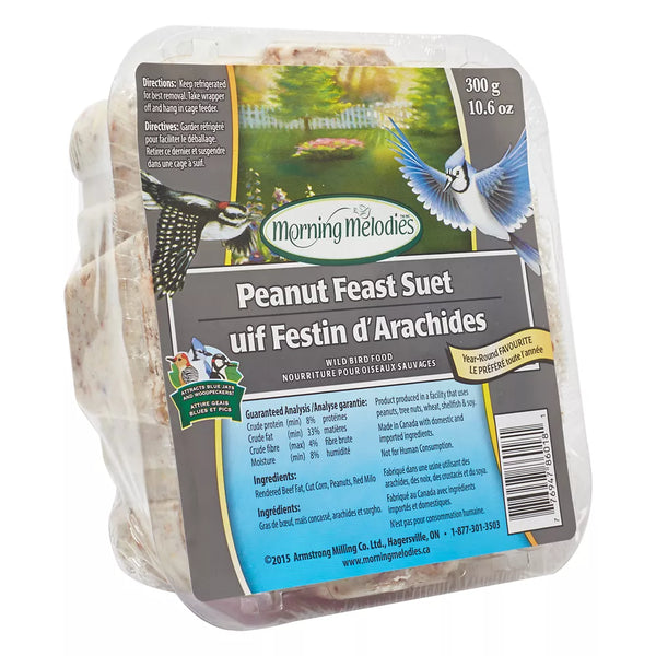 Morning Melodies™ Peanut Feast Suet Wild Bird Food