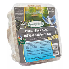 Morning Melodies™ Peanut Feast Suet Wild Bird Food