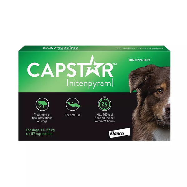 Capstar™ Large Dog Flea Treatment - 6 Count