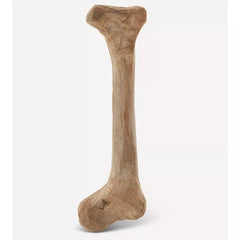 Joyhound® Boss Bones Femur Chew Dog Toy