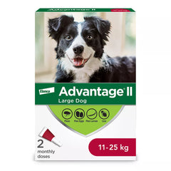Advantage® II Large Dog Once-A-Month Topical Flea Treatment - 11 to 25 kg