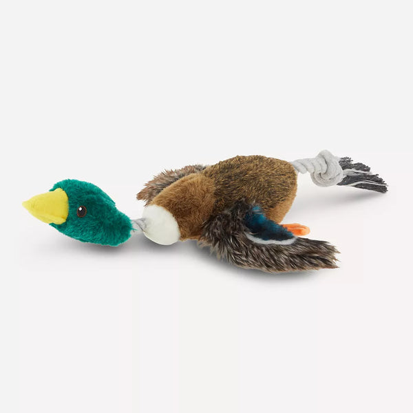 Joyhound® Realistic Binded Mallard Duck Dog Toy - Plush, Squeaker