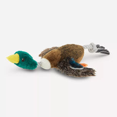 Joyhound® Realistic Binded Mallard Duck Dog Toy - Plush, Squeaker