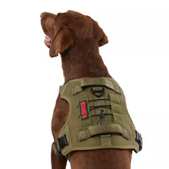 KONG® Double Handle Vest Dog Harness