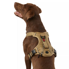 KONG® Reflective Waste Bag Dog Harness
