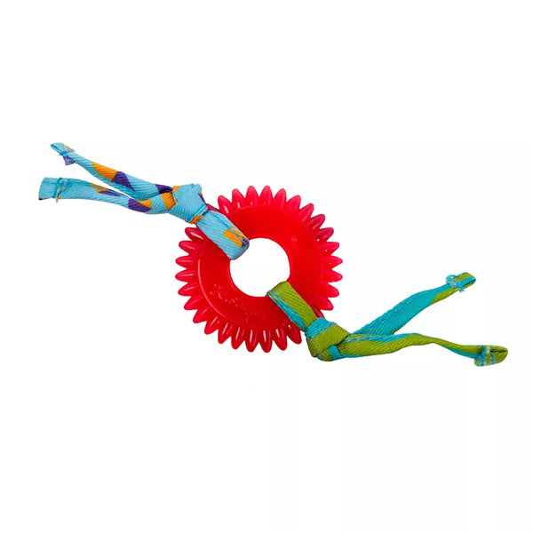 Catstages Dental Kitty Chew Wheel Cat Toy