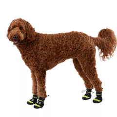 Arcadia Trail™ Year-Round All-Terrain Dog Boots