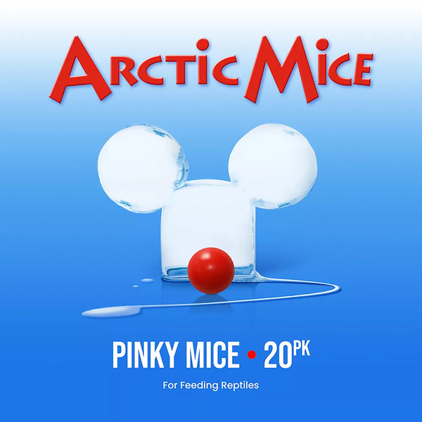 Arctic Mice Frozen Pinky Mice