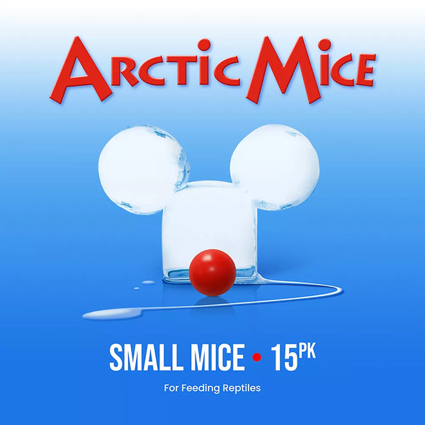 Arctic Mice Frozen Small Mice
