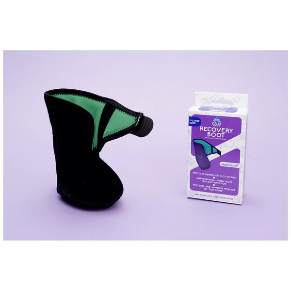 Calm Paws Recovery Boot