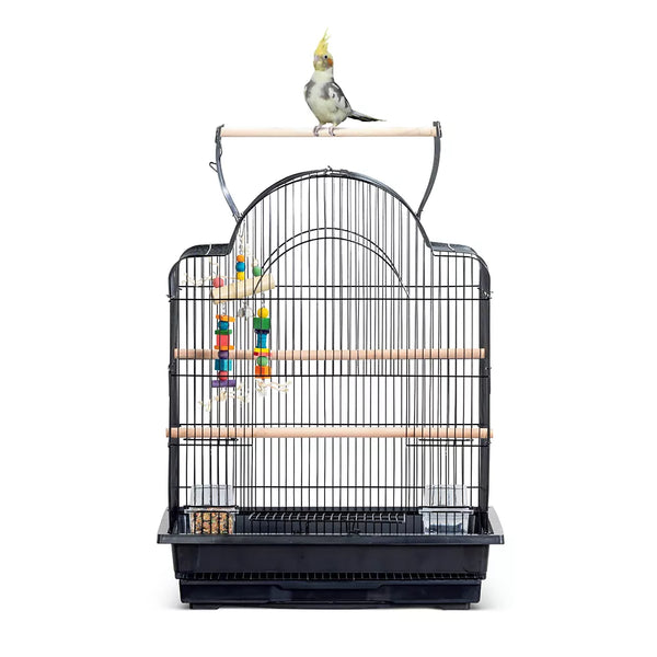 All Living Things® Open-Air Home Habitat