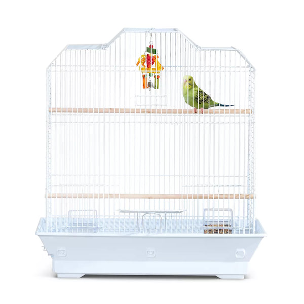 All Living Things® Easy-Clean Home