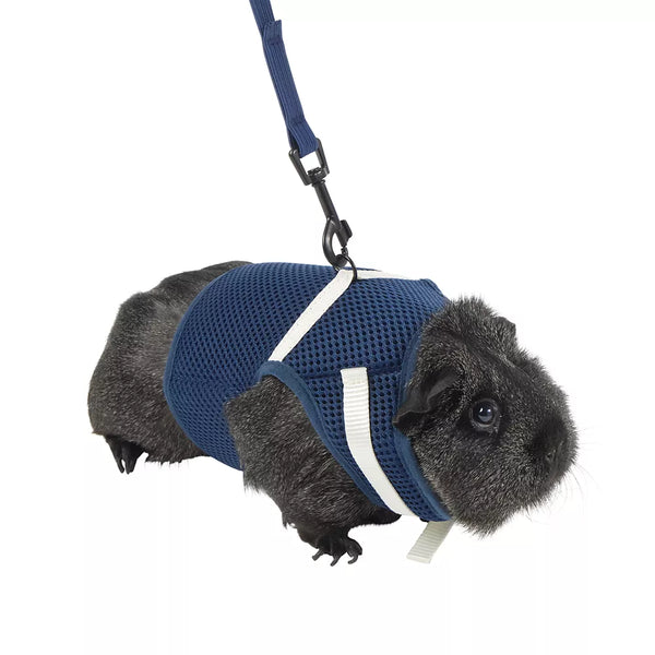 Full Cheeks™ Small Pet Harness