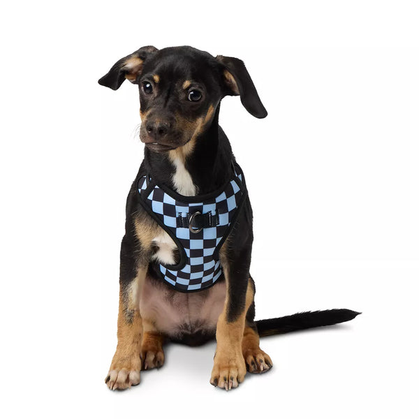 Top Paw® Checkered Comfort Dog Harness