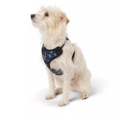 Top Paw® Camo Dog Harness