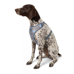 Top Paw Aztec Adjustable Fashion Comfort Dog Harness