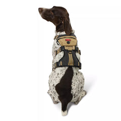 Kong® Safety Dog Harness