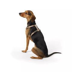 Top Paw® Basic Nylon Dog Harness
