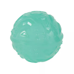 Arcadia Trail® Glow-in-the-Dark Dog Toy