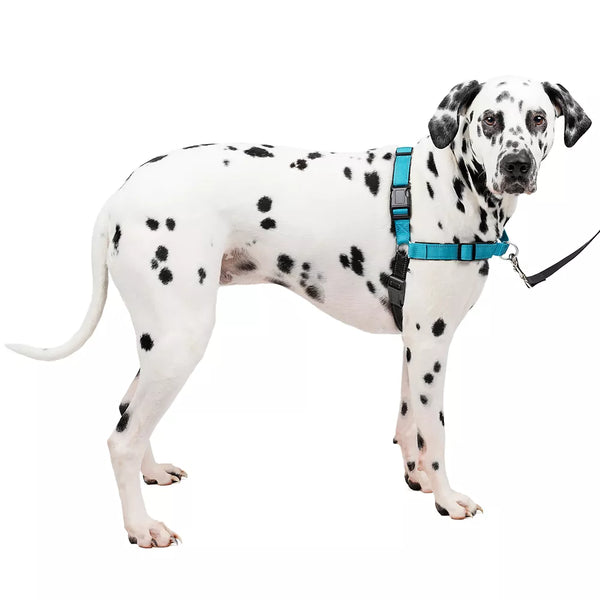 PetSafe® Easy Walk Deluxe Dog Harness - No Pull Dog Harness