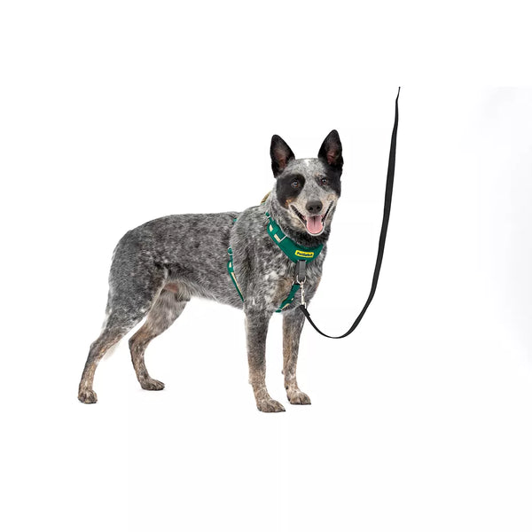 PetSafe® Easy Walk® Comfort No-Pull Dog Harness
