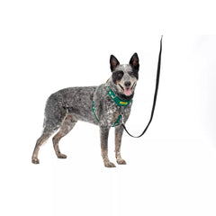 PetSafe® Easy Walk® Comfort No-Pull Dog Harness