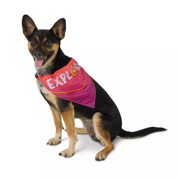 Arcadia Trail® Cooling Reflective Dog Bandana