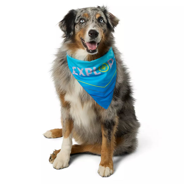 Arcadia Trail®l Cooling Reflective Dog Bandana