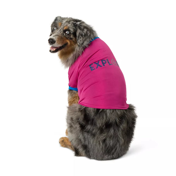 Arcadia Trail® Explore High Visibility Dog Shirt