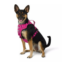 Arcadia Trail® Quick Dry Dog Harness