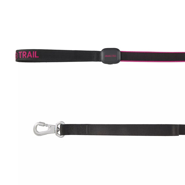 Arcadia Trail® Light-Up LED Dog Leash