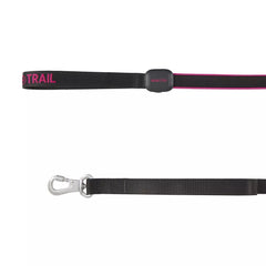 Arcadia Trail® Light-Up LED Dog Leash