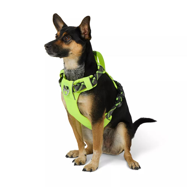 Arcadia Trail® Lightweight Reflective Dog Harness