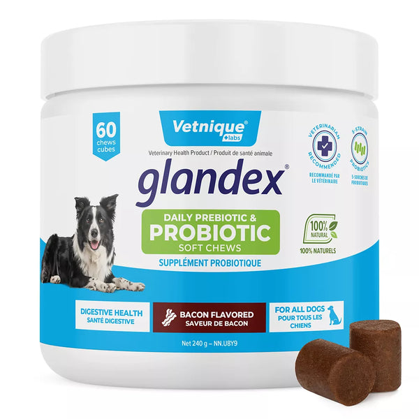 Glandex® Daily Prebiotic & Probiotic Digestive Health Soft Chews for Dogs - Bacon, 60 count
