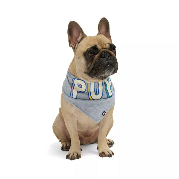 Hotel Doggy Birthday Theme "Birthday Pup" Dog Bandana - Grey