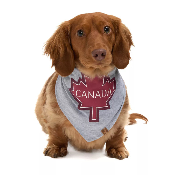 HOTEL DOGGY "Canada Day" Maple Leaf Jersey Bandana